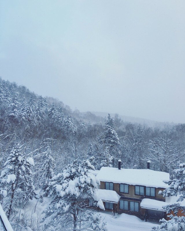 Snowy&#x20;Japan&#x20;640x800
